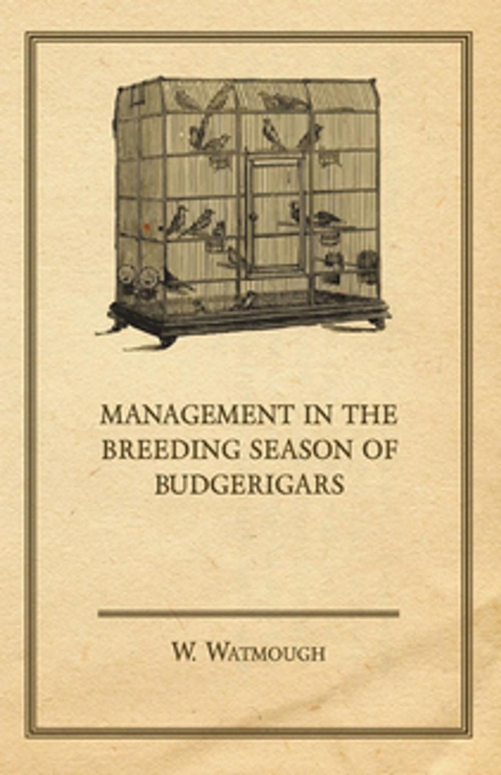 Big bigCover of Management in the Breeding Season of Budgerigars