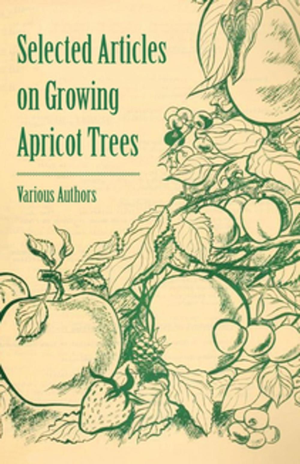 Big bigCover of Selected Articles on Growing Apricot Trees