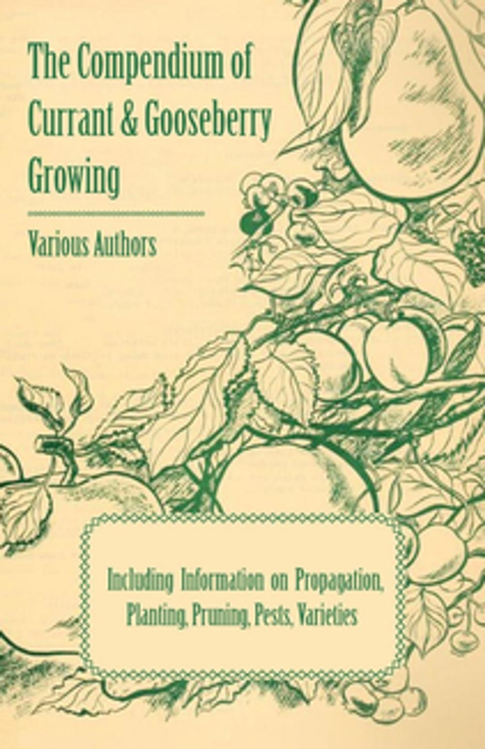 Big bigCover of The Compendium of Currant and Gooseberry Growing - Including Information on Propagation, Planting, Pruning, Pests, Varieties