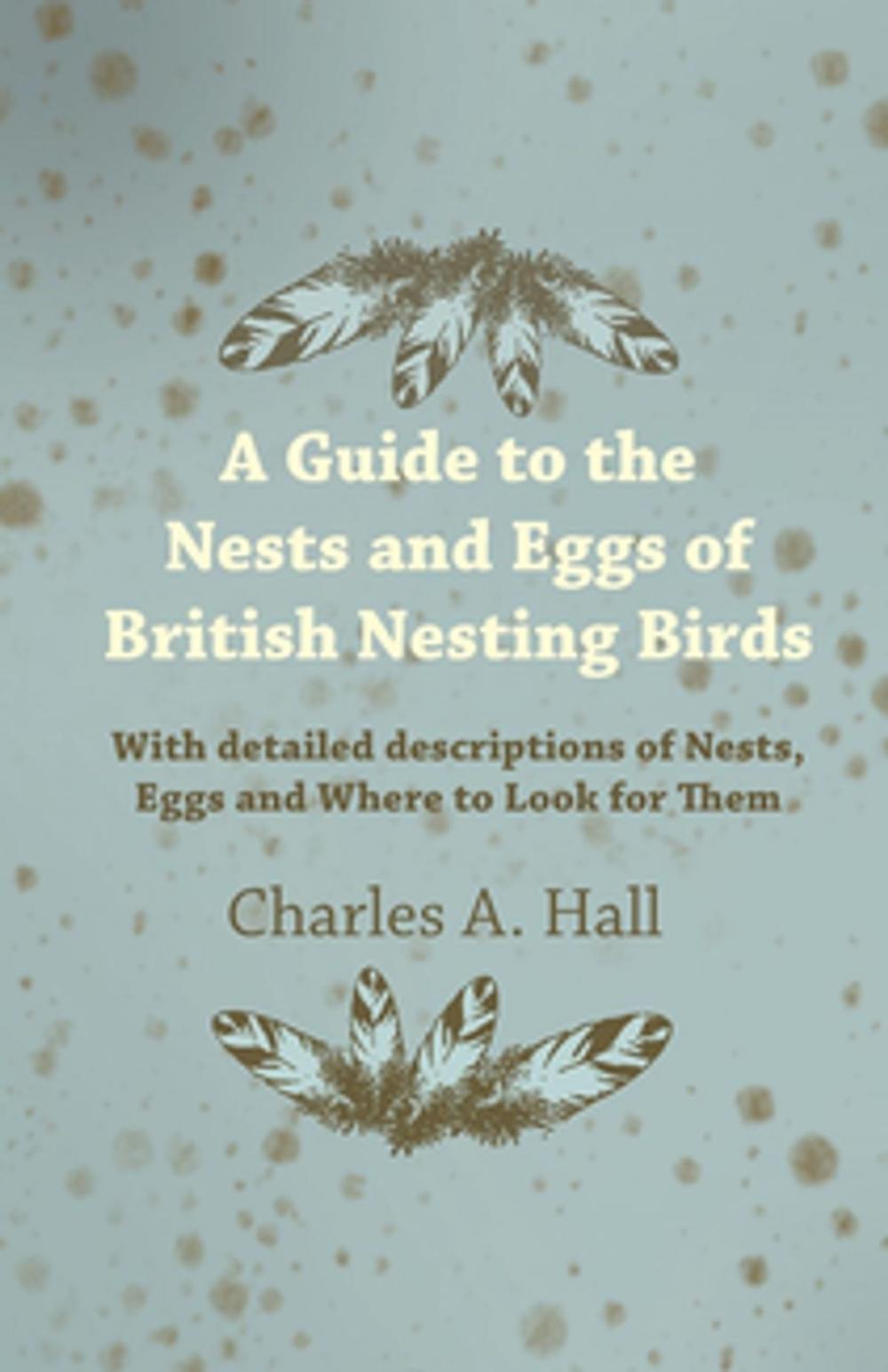 Big bigCover of A Guide to the Nests and Eggs of British Nesting Birds - With Detailed Descriptions of Nests, Eggs, and Where to Look for Them