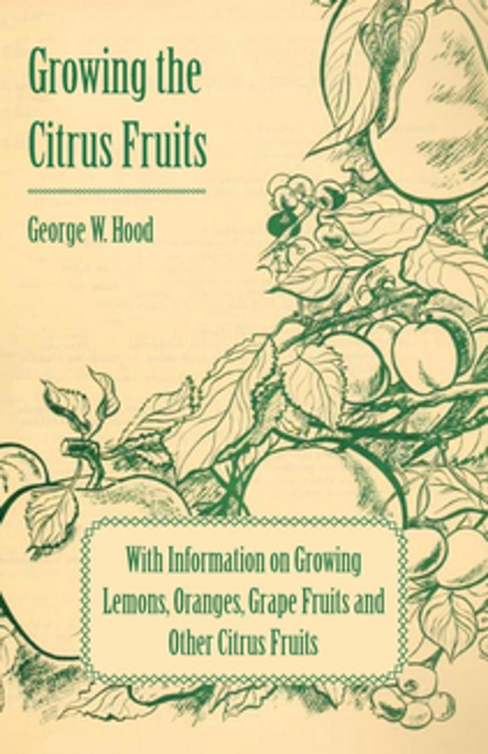 Big bigCover of Growing the Citrus Fruits - With Information on Growing Lemons, Oranges, Grape Fruits and Other Citrus Fruits