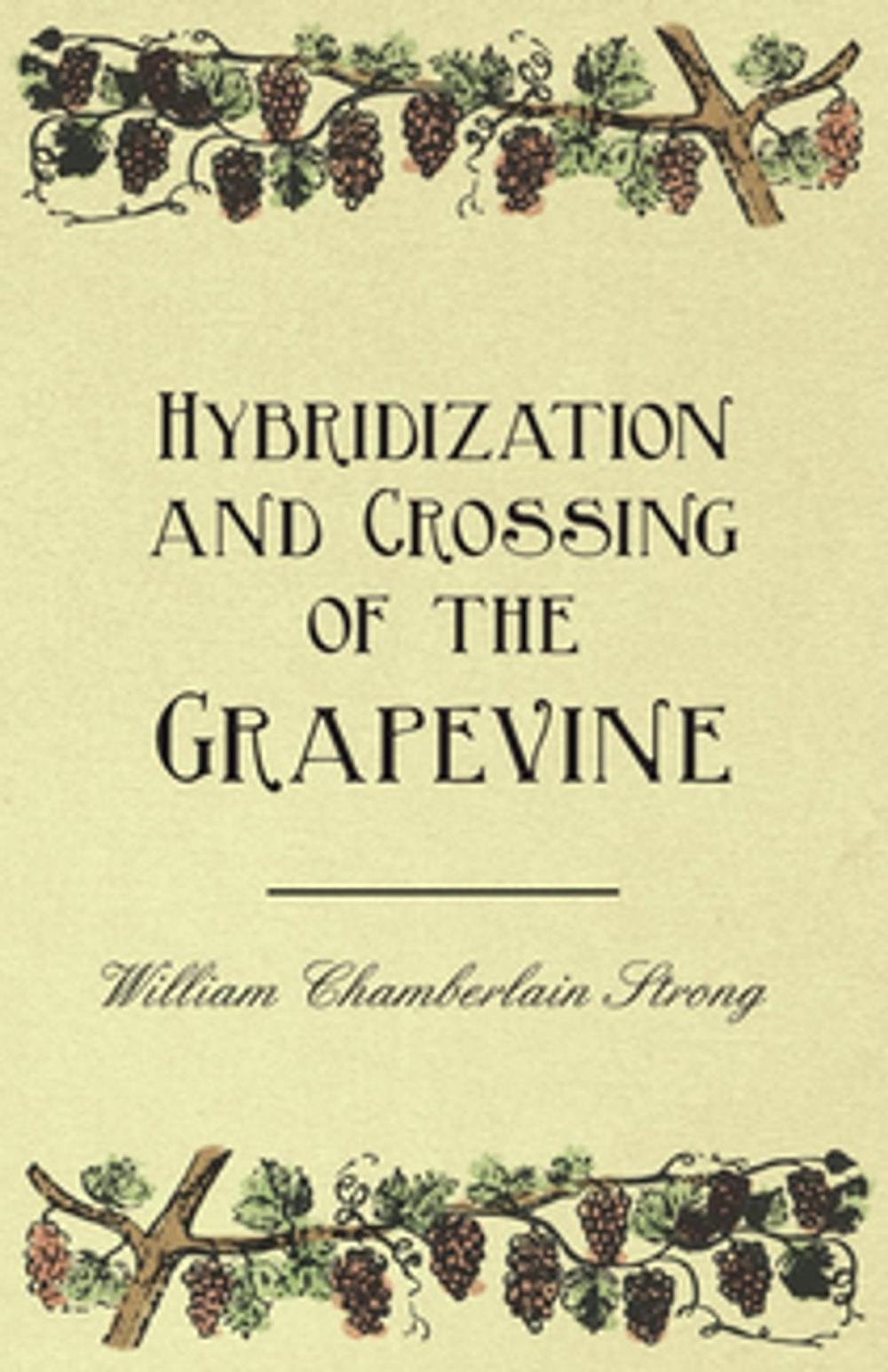 Big bigCover of Hybridization and Crossing of the Grapevine