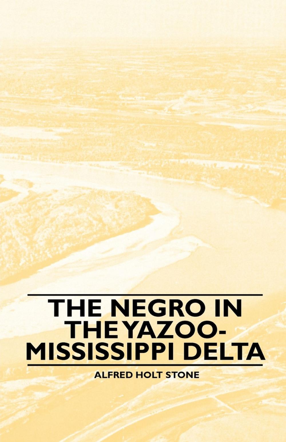 Big bigCover of The Negro in the Yazoo-Mississippi Delta