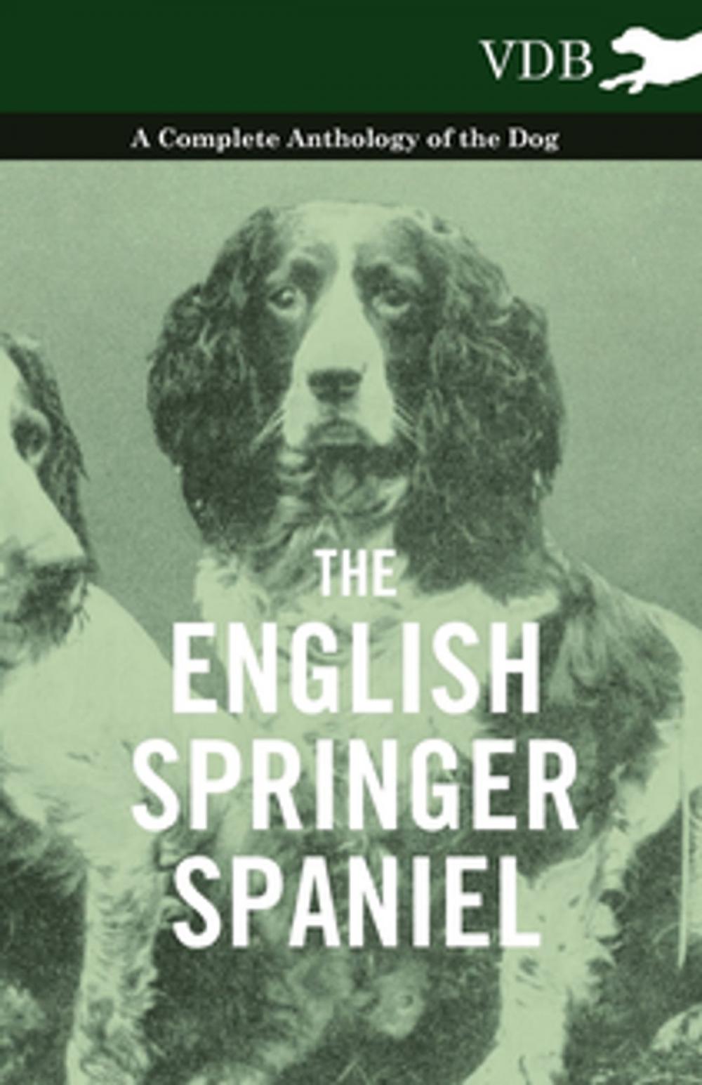 Big bigCover of The English Springer Spaniel - A Complete Anthology of the Dog