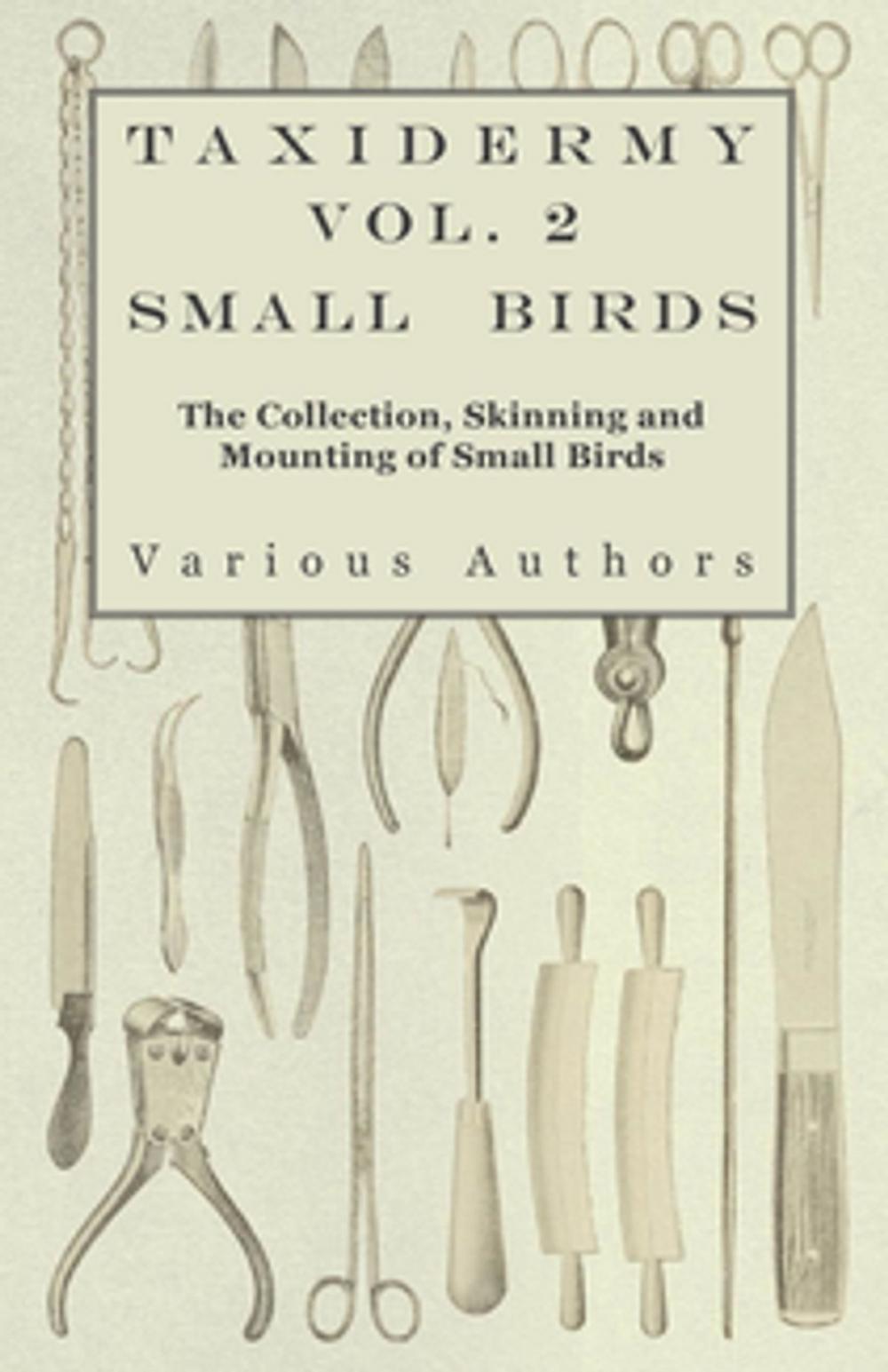 Big bigCover of Taxidermy Vol.2 Small Birds - The Collection, Skinning and Mounting of Small Birds