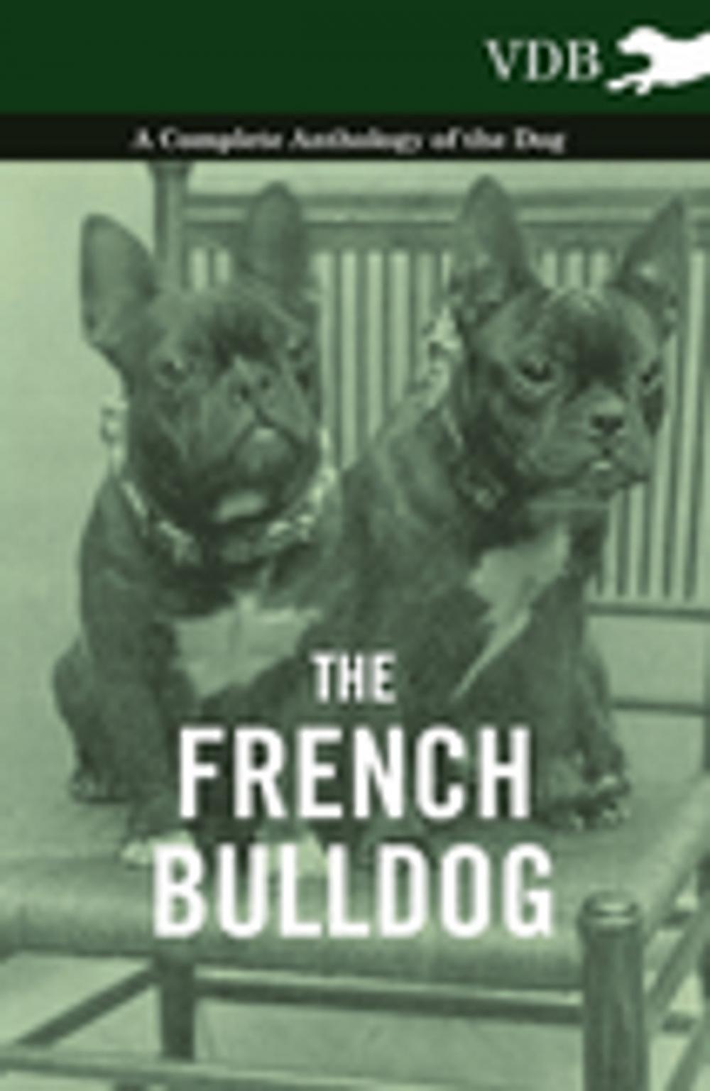 Big bigCover of The French Bulldog - A Complete Anthology of the Dog