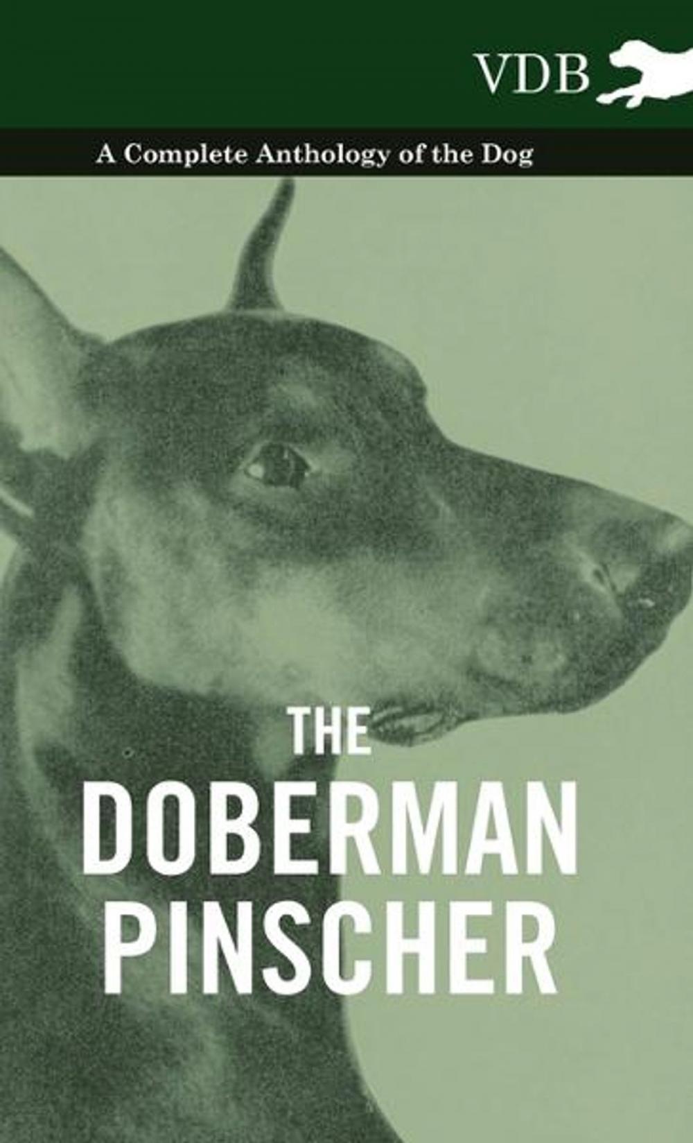 Big bigCover of The Doberman Pinscher - A Complete Anthology of the Dog -