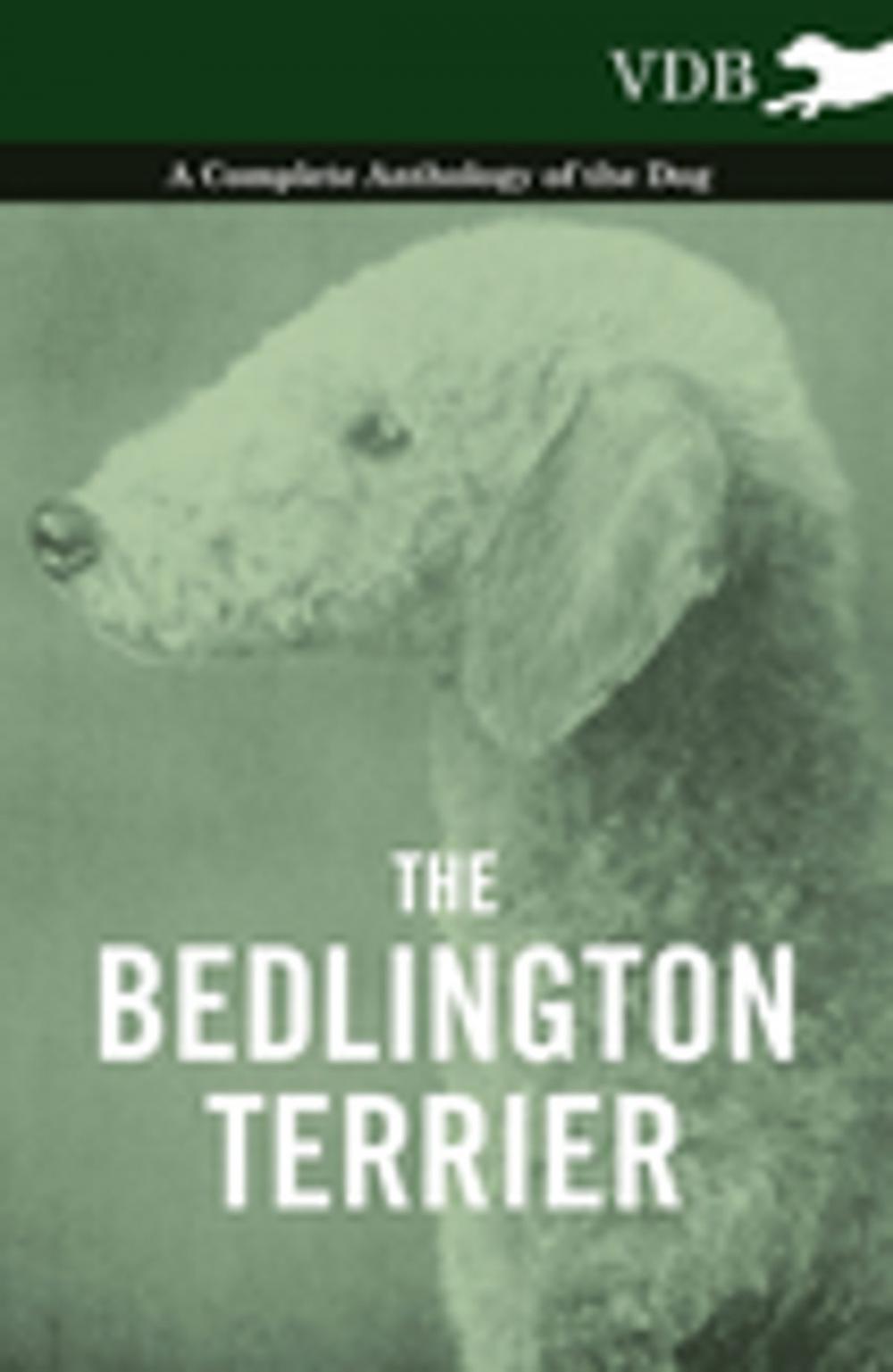 Big bigCover of The Bedlington Terrier - A Complete Anthology of the Dog -