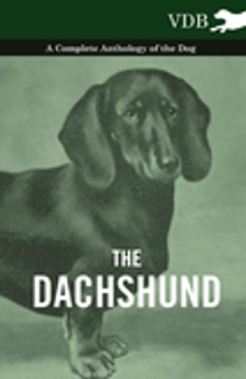 Big bigCover of The Dachshund - A Complete Anthology of the Dog -