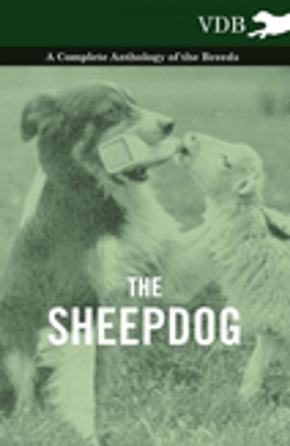 Big bigCover of The Sheepdog - A Complete Anthology of the Breeds