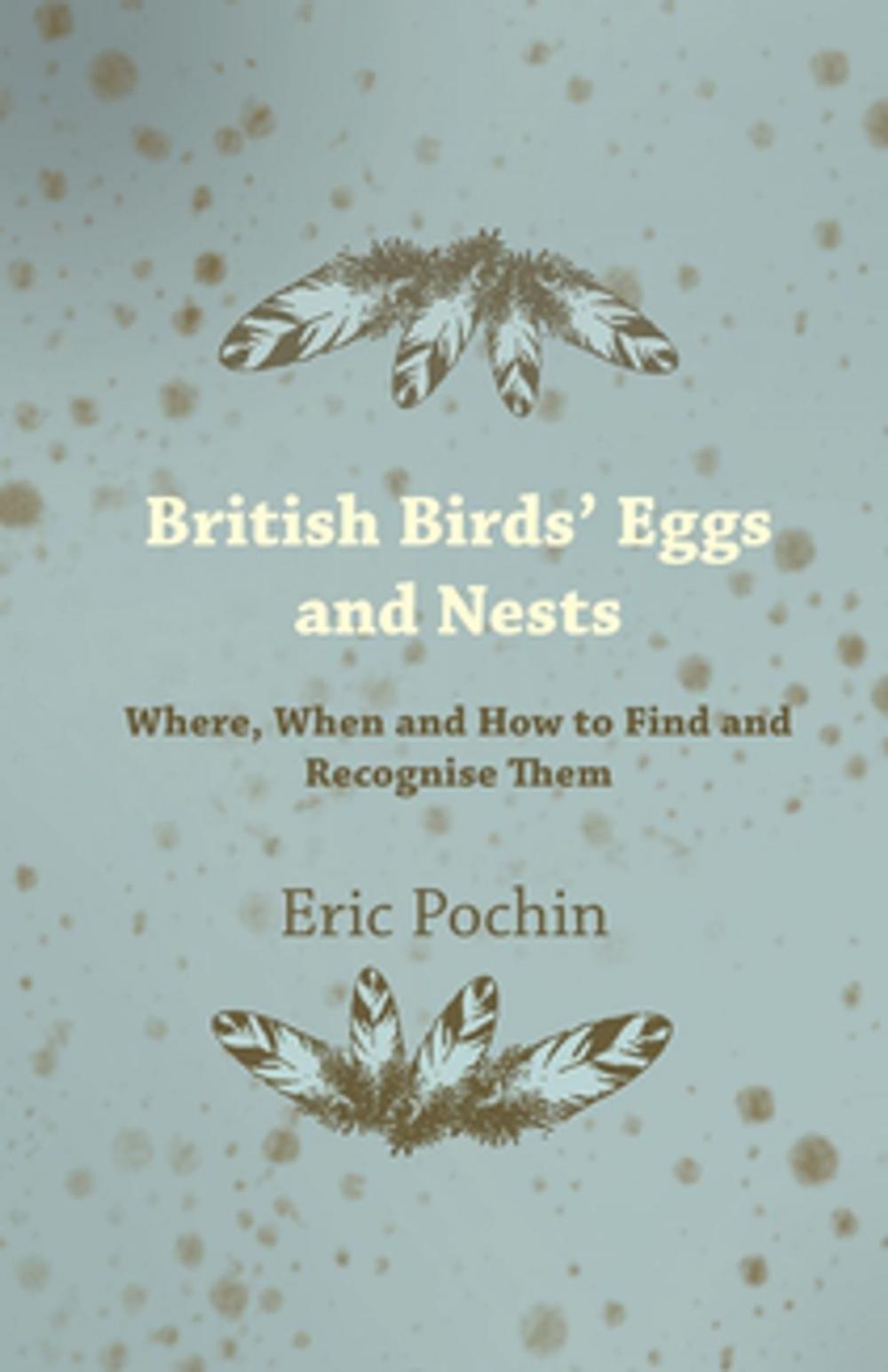 Big bigCover of British Birds' Eggs and Nests - Where, When and How to Find and Recognise Them