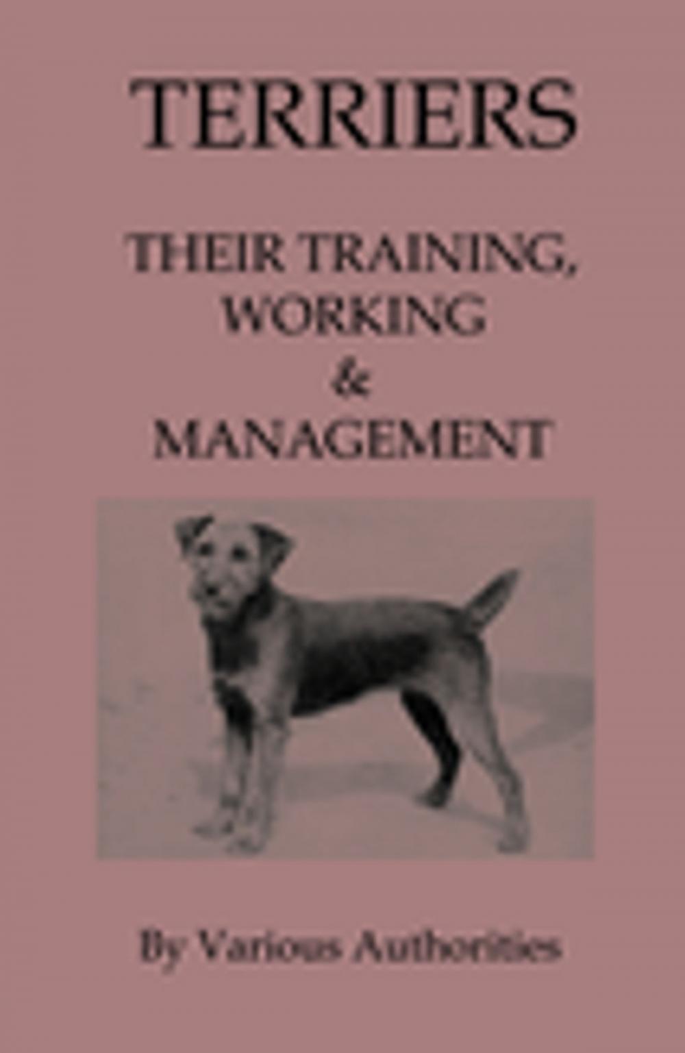 Big bigCover of Terriers - Their Training, Work & Management