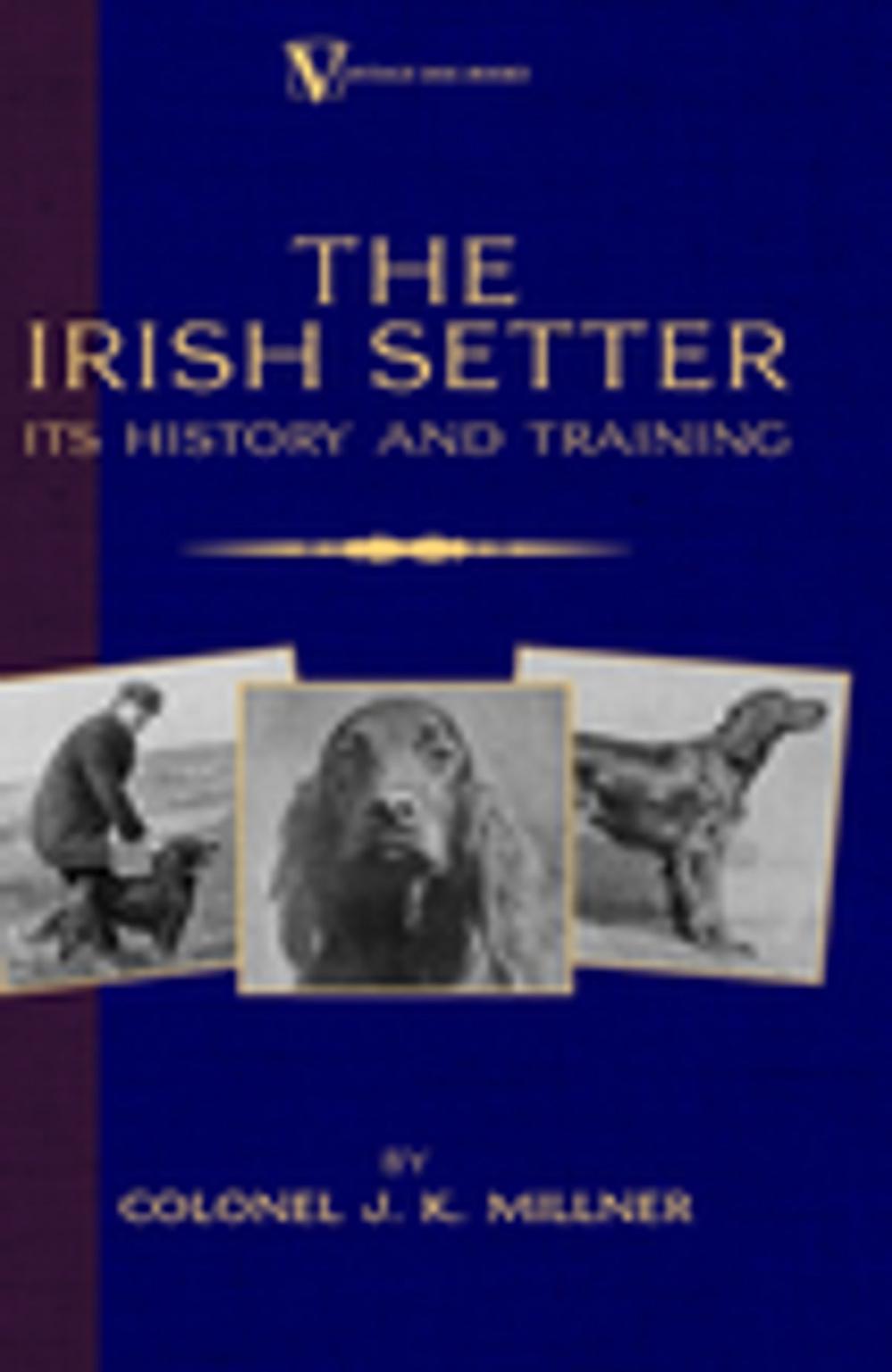 Big bigCover of The Irish Setter - Its History & Training (A Vintage Dog Books Breed Classic)