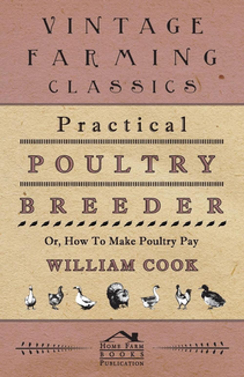 Big bigCover of Practical Poultry Breeder - Or, How to Make Poultry Pay