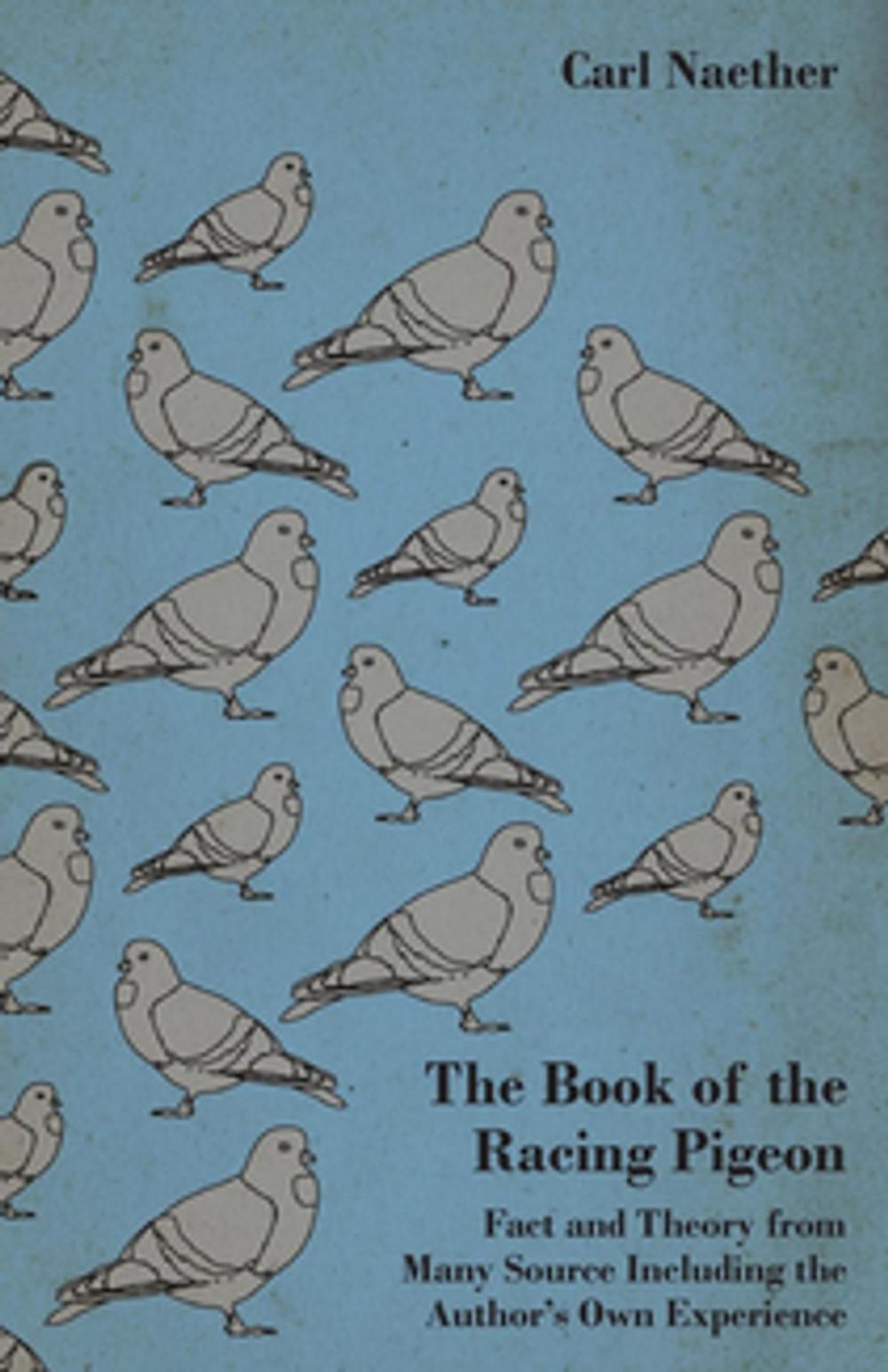 Big bigCover of The Book Of The Racing Pigeon - Fact And Theory From Many Source Including The Author's Own Experience