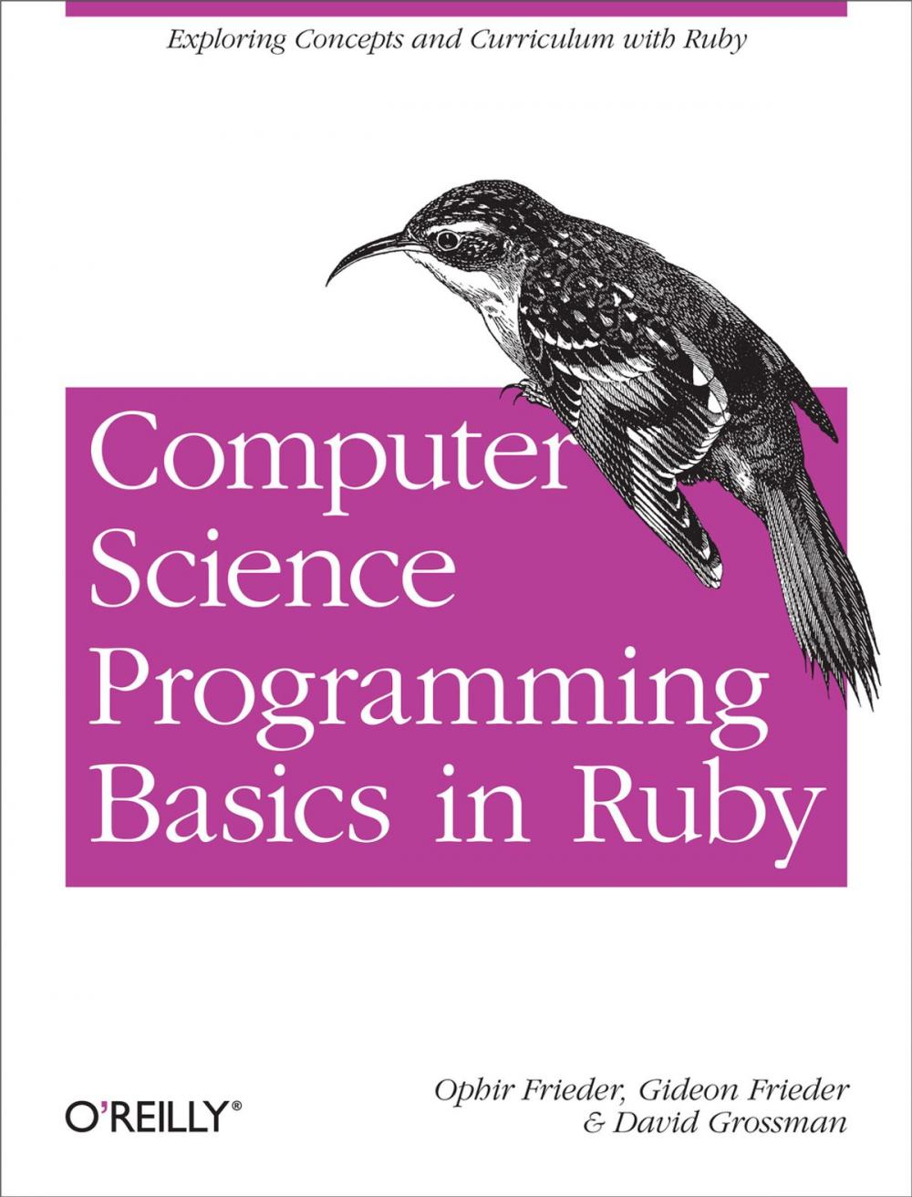 Big bigCover of Computer Science Programming Basics in Ruby