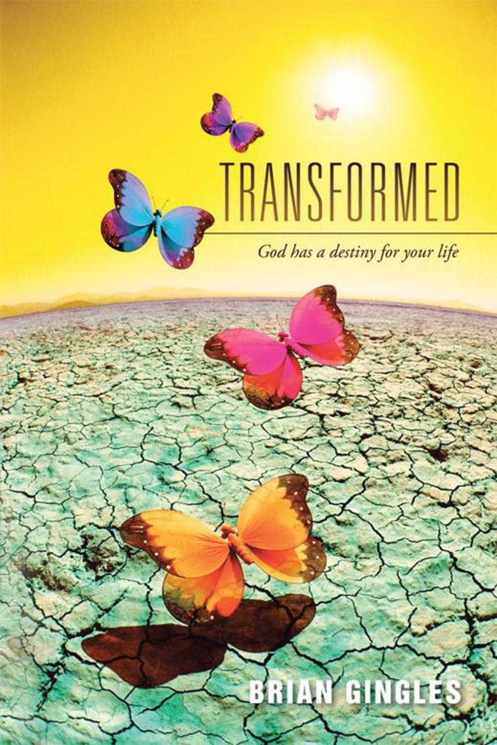 Big bigCover of Transformed