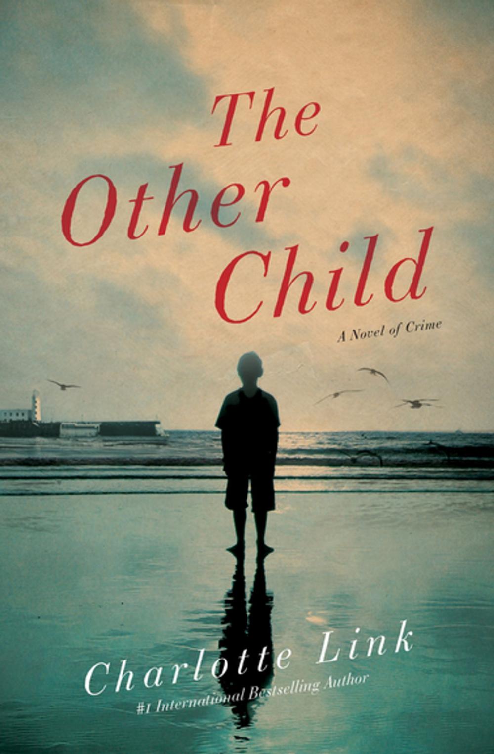 Big bigCover of The Other Child