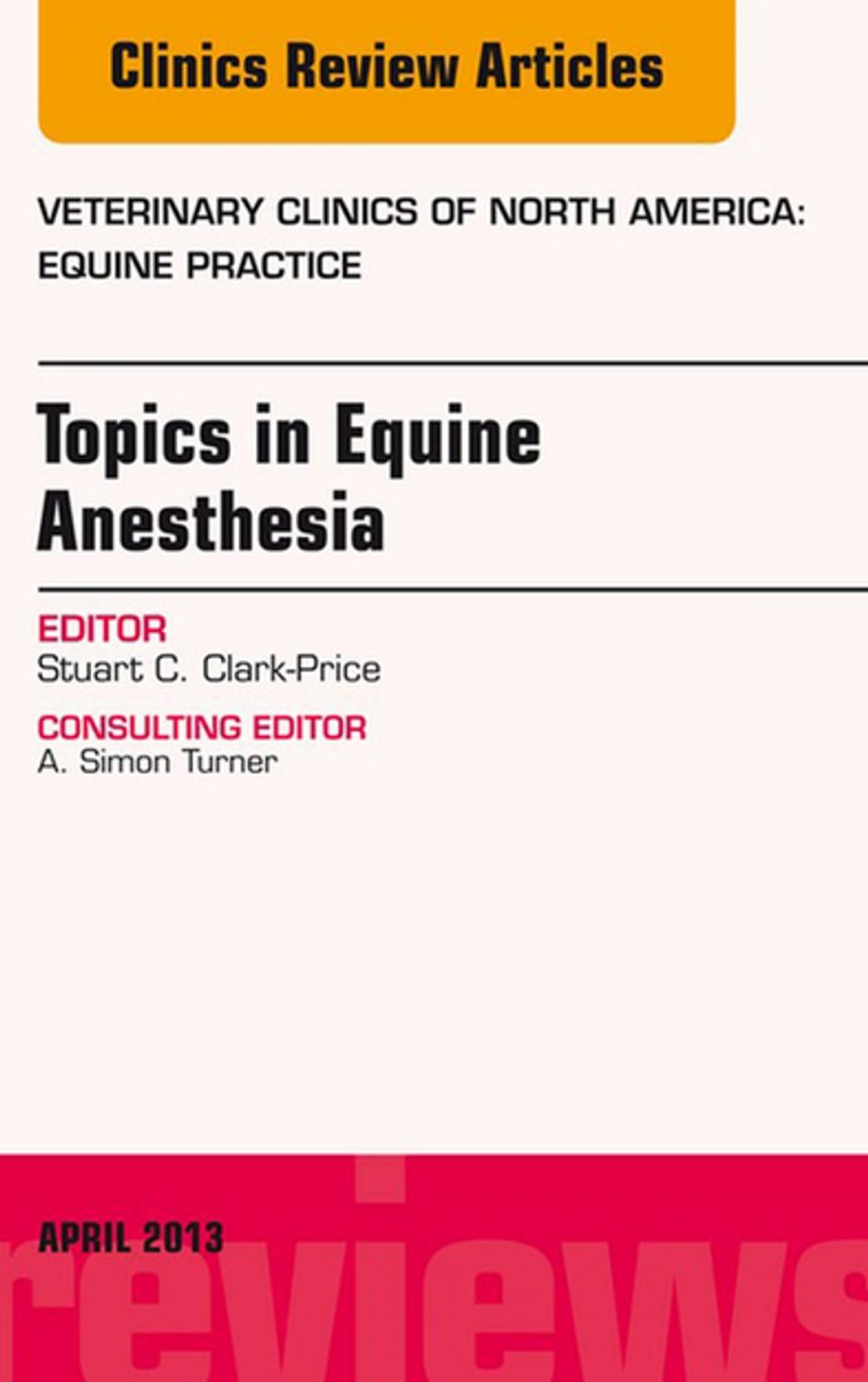 Big bigCover of Topics in Equine Anesthesia, An Issue of Veterinary Clinics: Equine Practice, E-Book