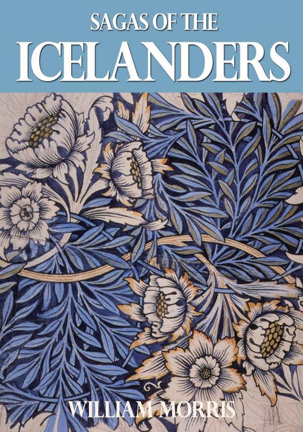 Big bigCover of Sagas of the Icelanders