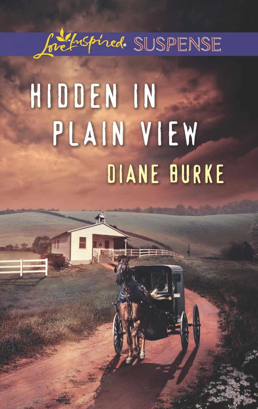 Big bigCover of Hidden in Plain View