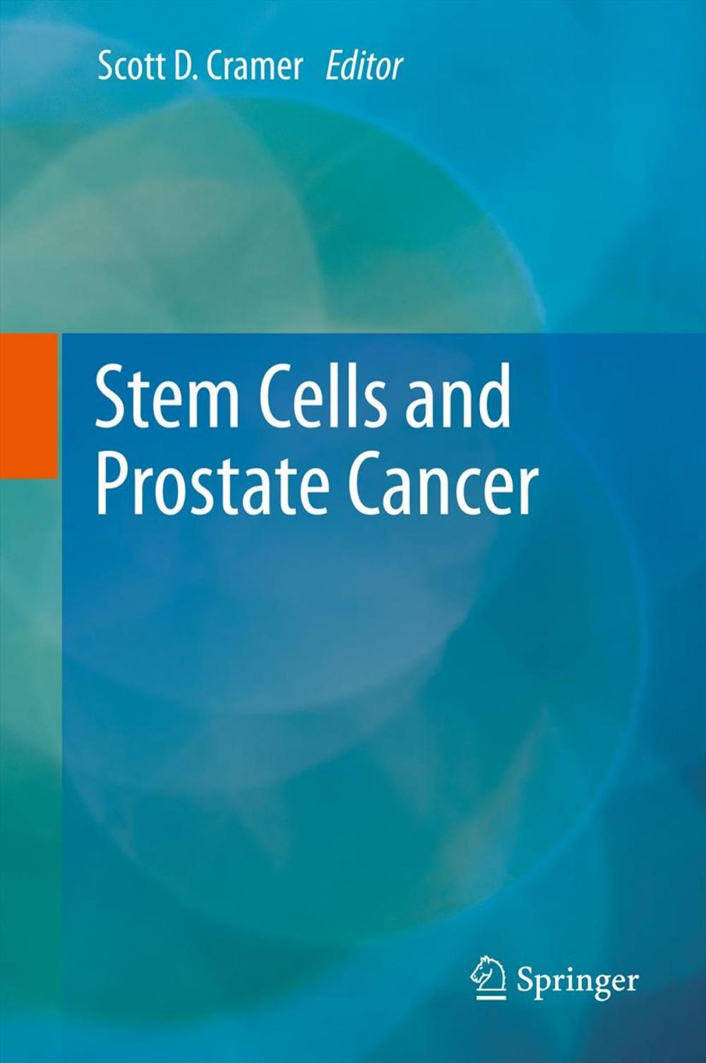 Big bigCover of Stem Cells and Prostate Cancer