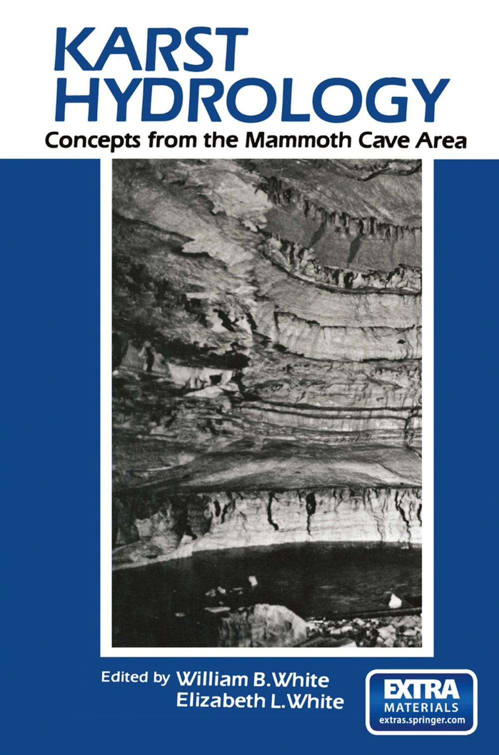 Big bigCover of Karst Hydrology