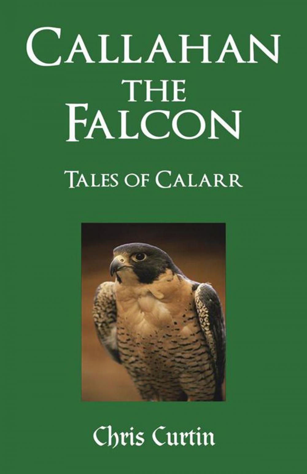 Big bigCover of Callahan the Falcon