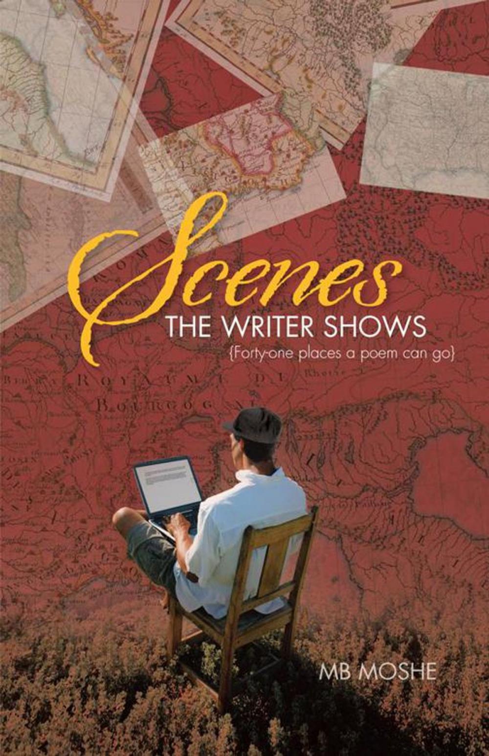 Big bigCover of Scenes the Writer Shows