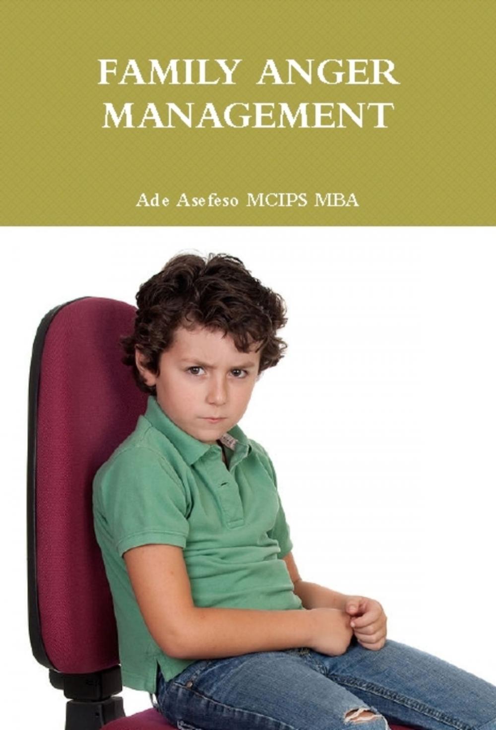 Big bigCover of Family Anger Management