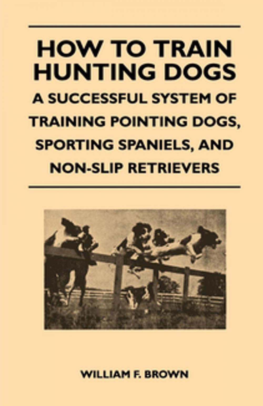 Big bigCover of How to Train Hunting Dogs - A Successful System of Training Pointing Dogs, Sporting Spaniels, And Non-Slip Retrievers