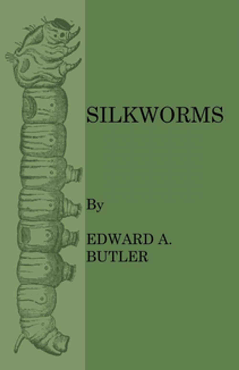 Big bigCover of Silkworms