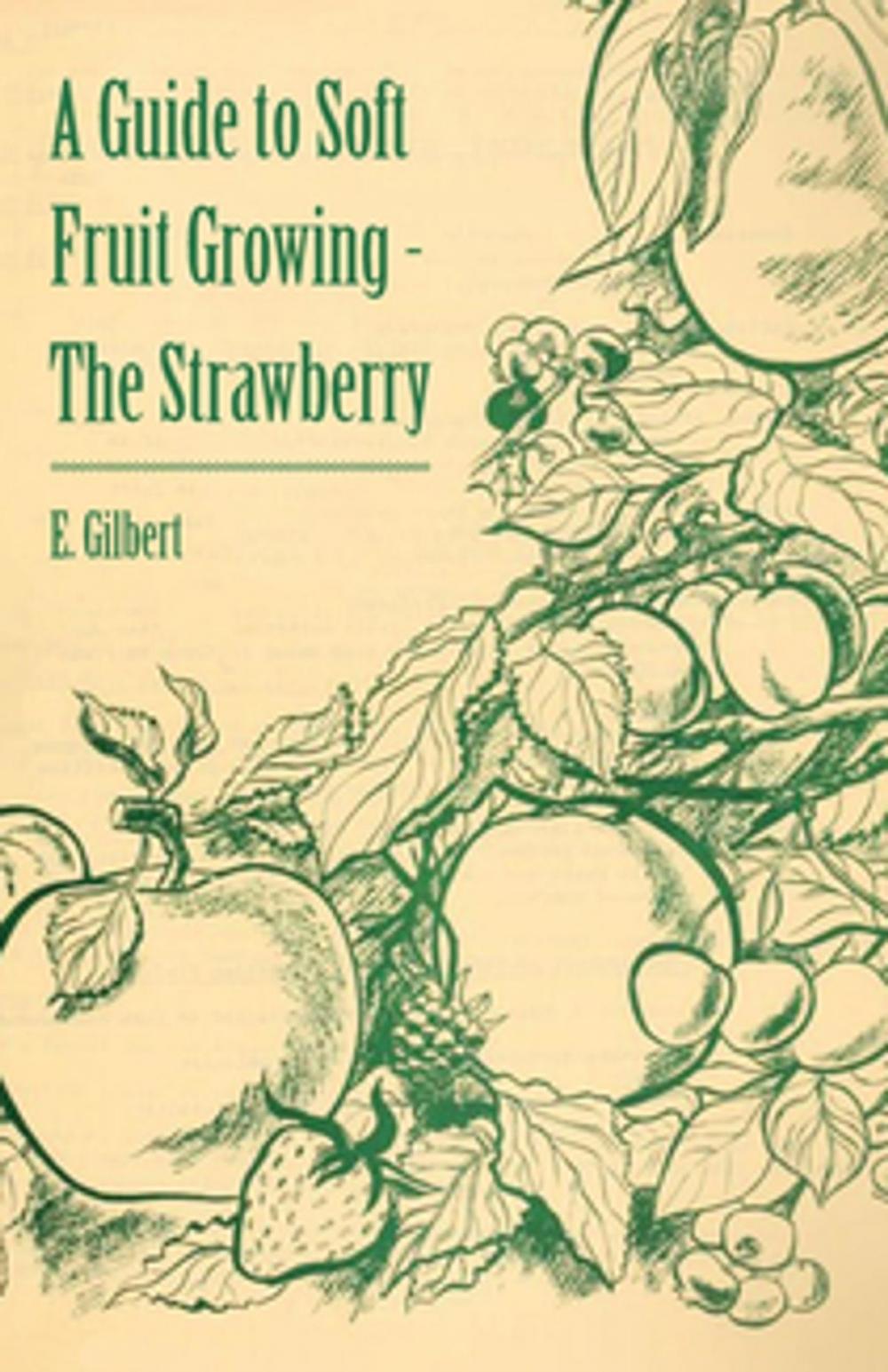 Big bigCover of A Guide to Soft Fruit Growing - The Strawberry