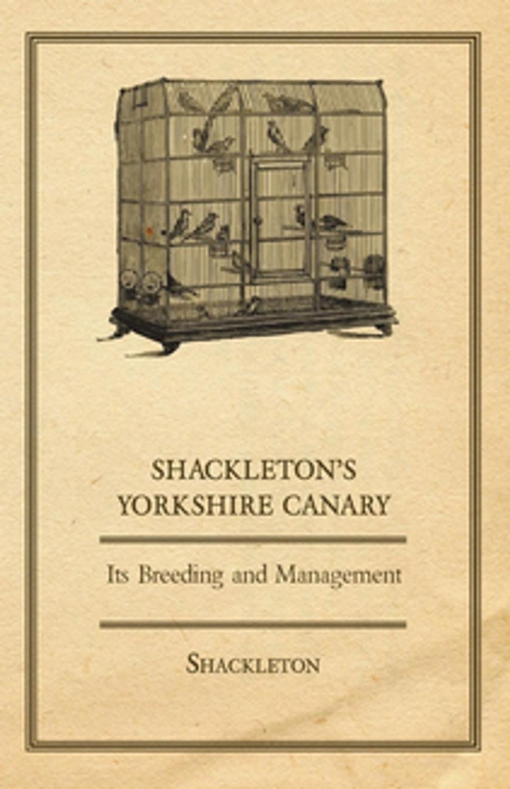 Big bigCover of Shackleton's Yorkshire Canary - Its Breeding and Management