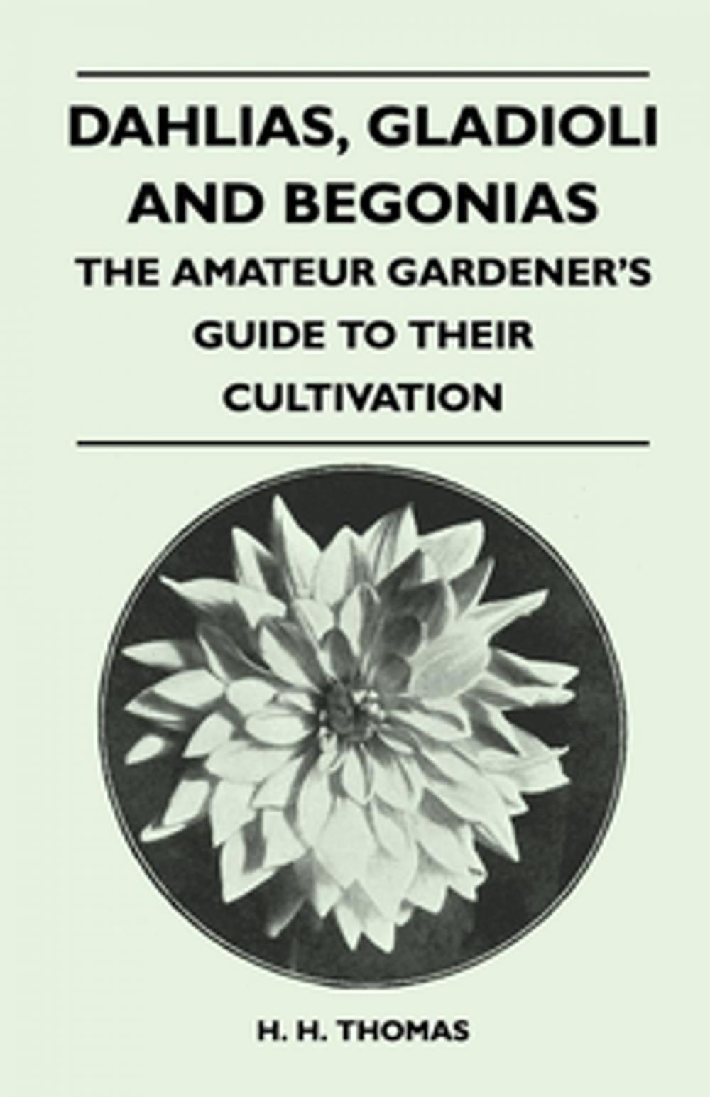 Big bigCover of Dahlias, Gladioli and Begonias - The Amateur Gardener's Guide to Their Cultivation