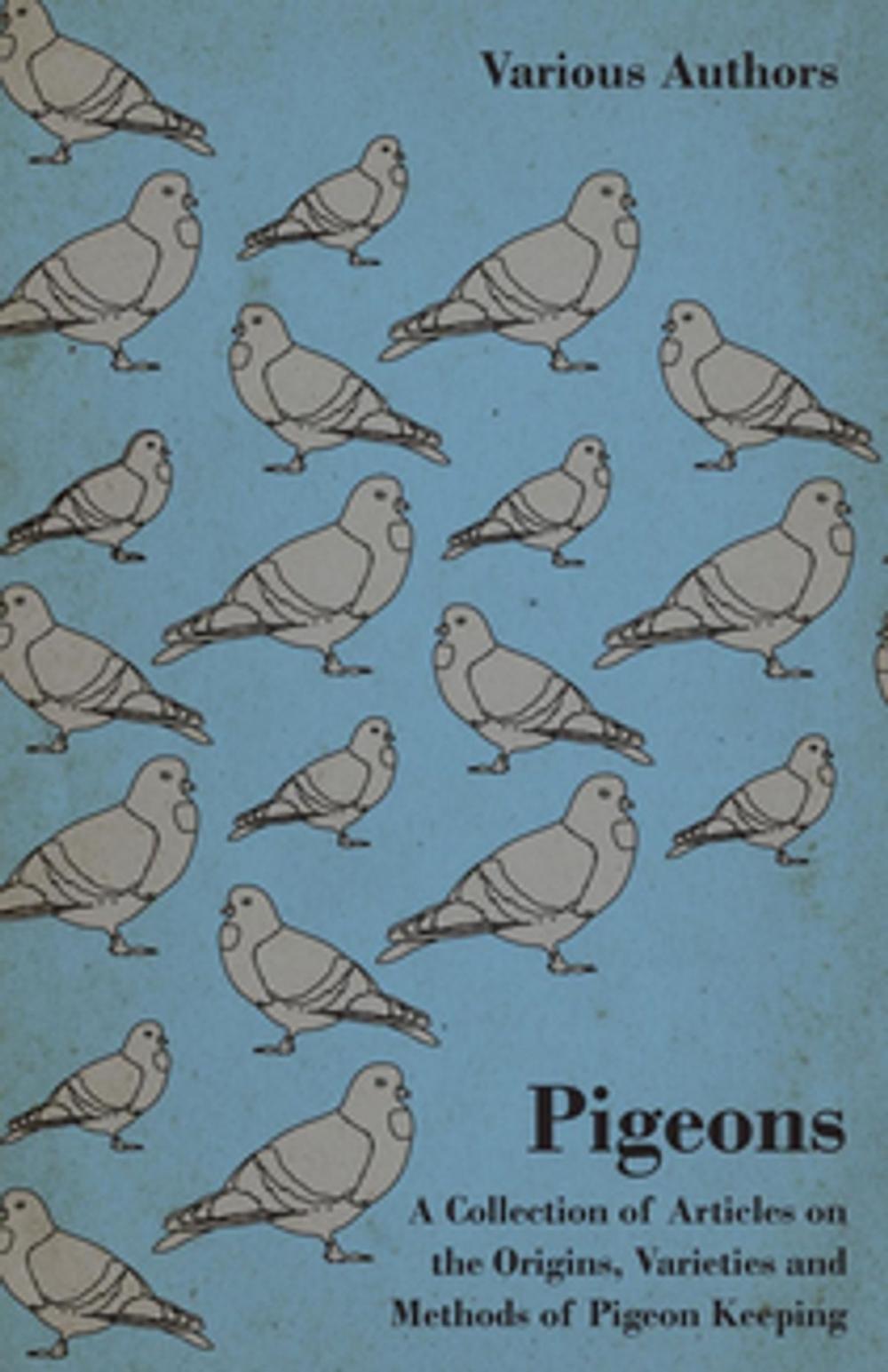 Big bigCover of Pigeons - A Collection of Articles on the Origins, Varieties and Methods of Pigeon Keeping