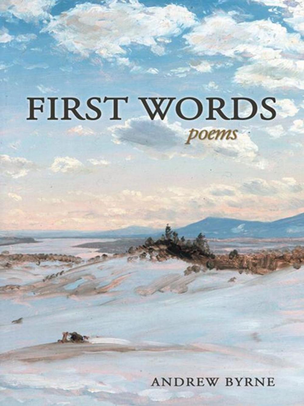 Big bigCover of First Words