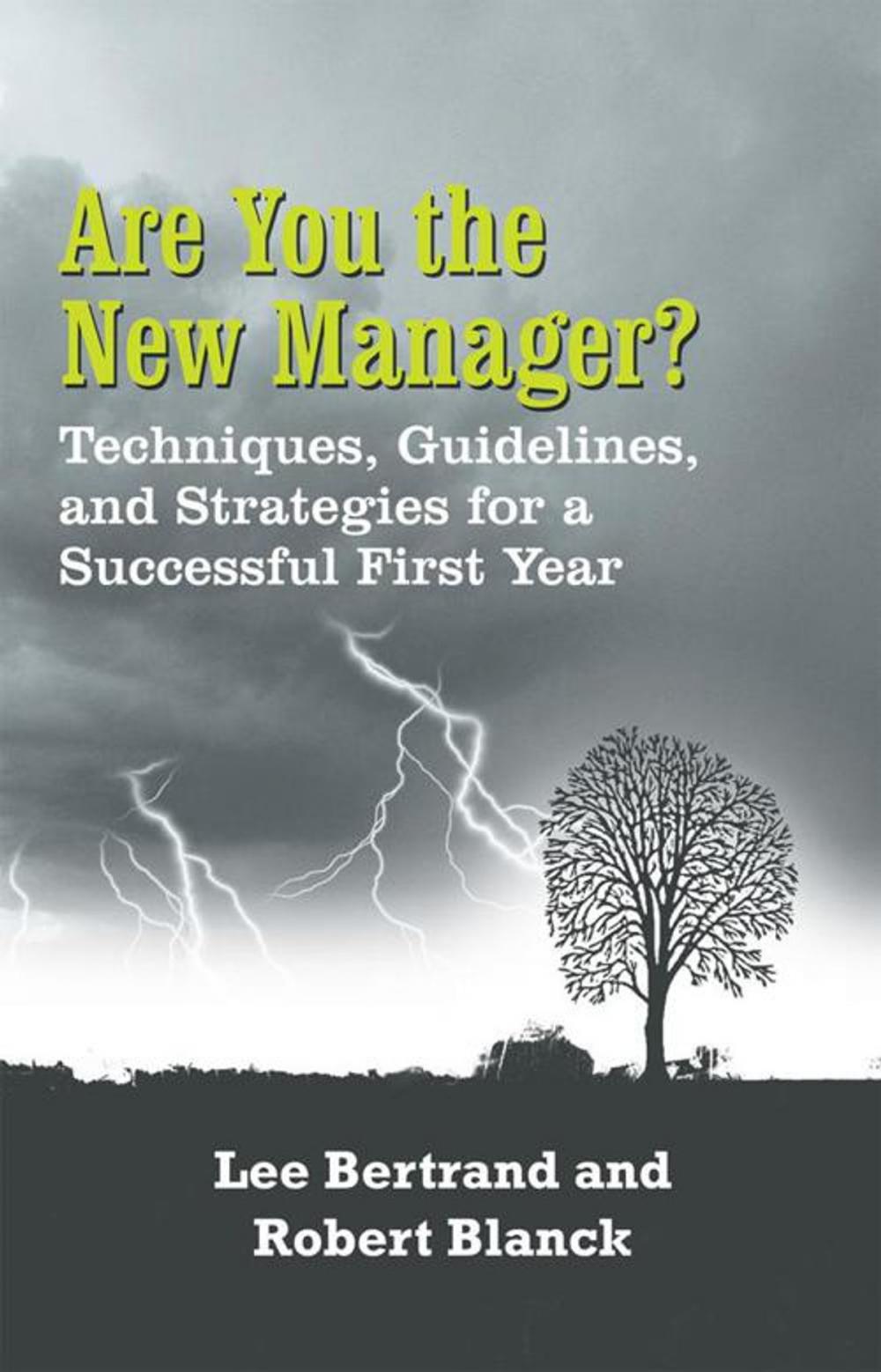 Big bigCover of Are You the New Manager?