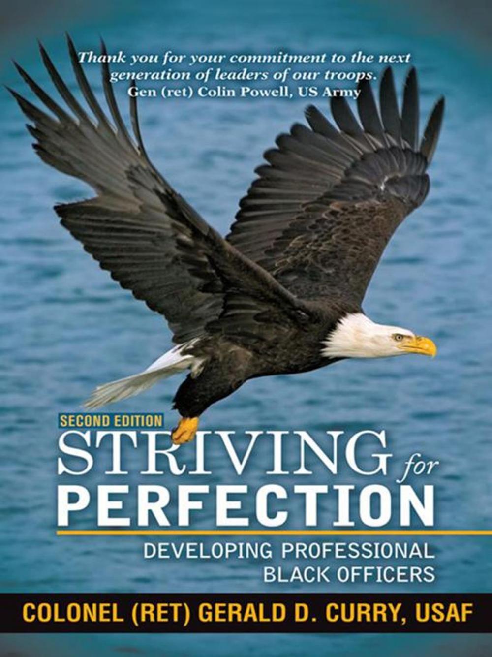 Big bigCover of Striving for Perfection