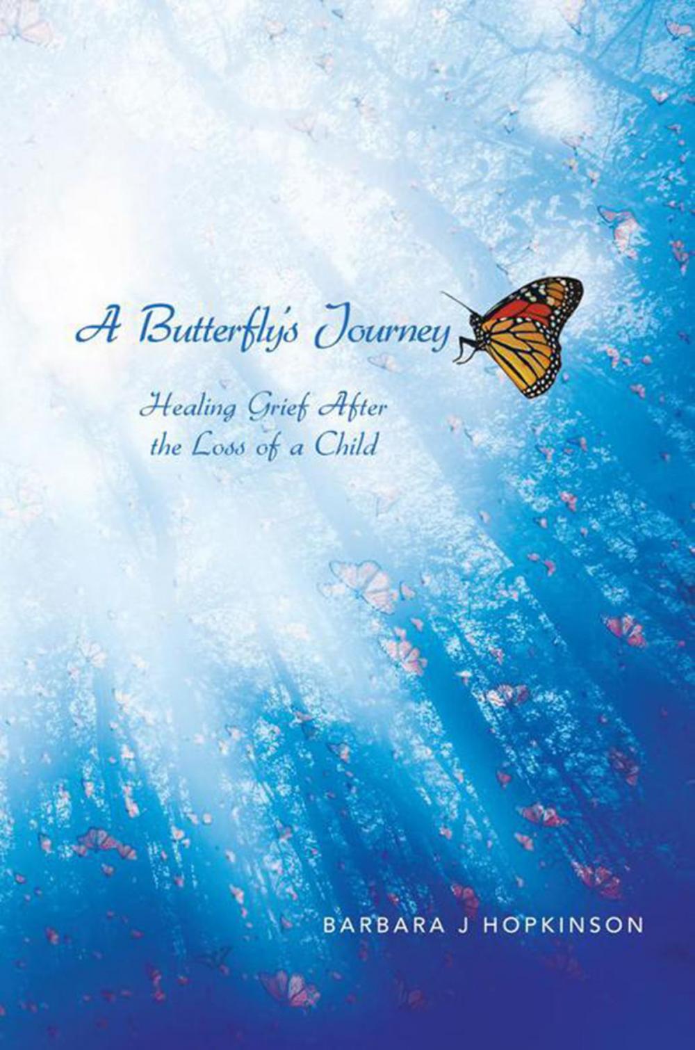 Big bigCover of A Butterfly's Journey