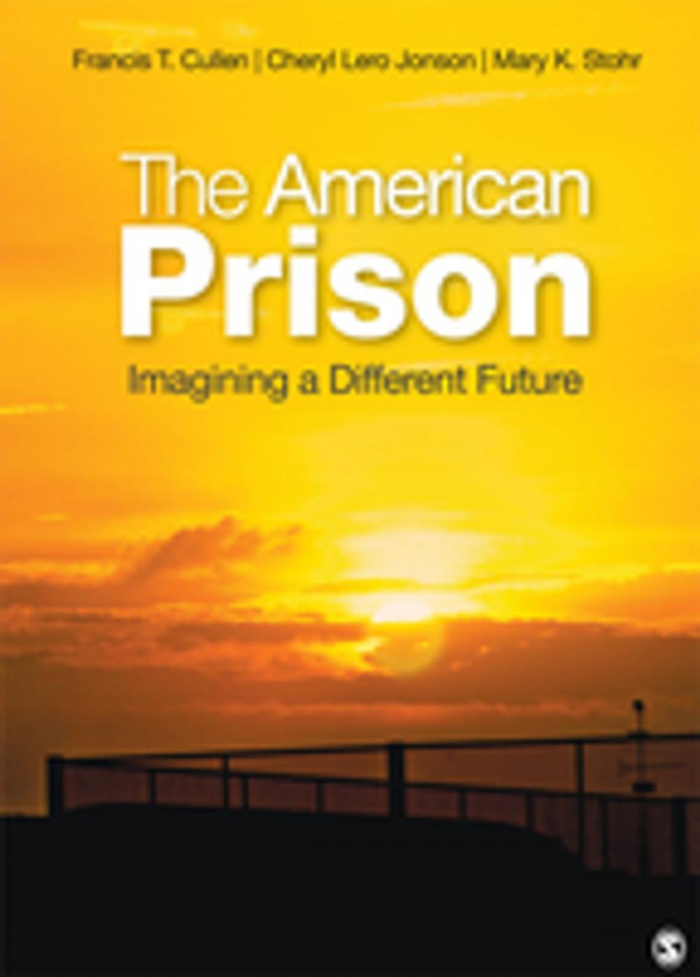 Big bigCover of The American Prison