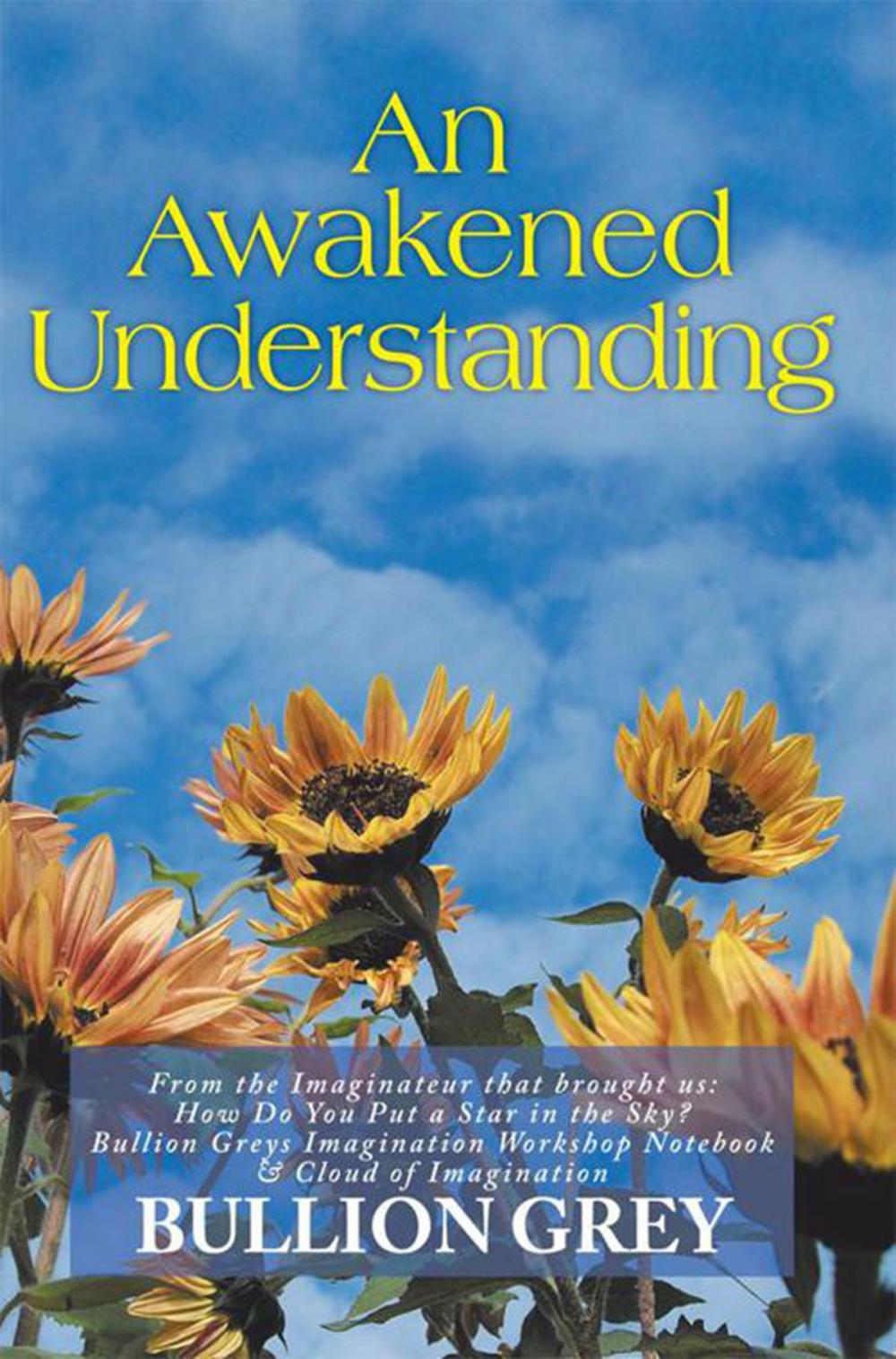 Big bigCover of An Awakened Understanding