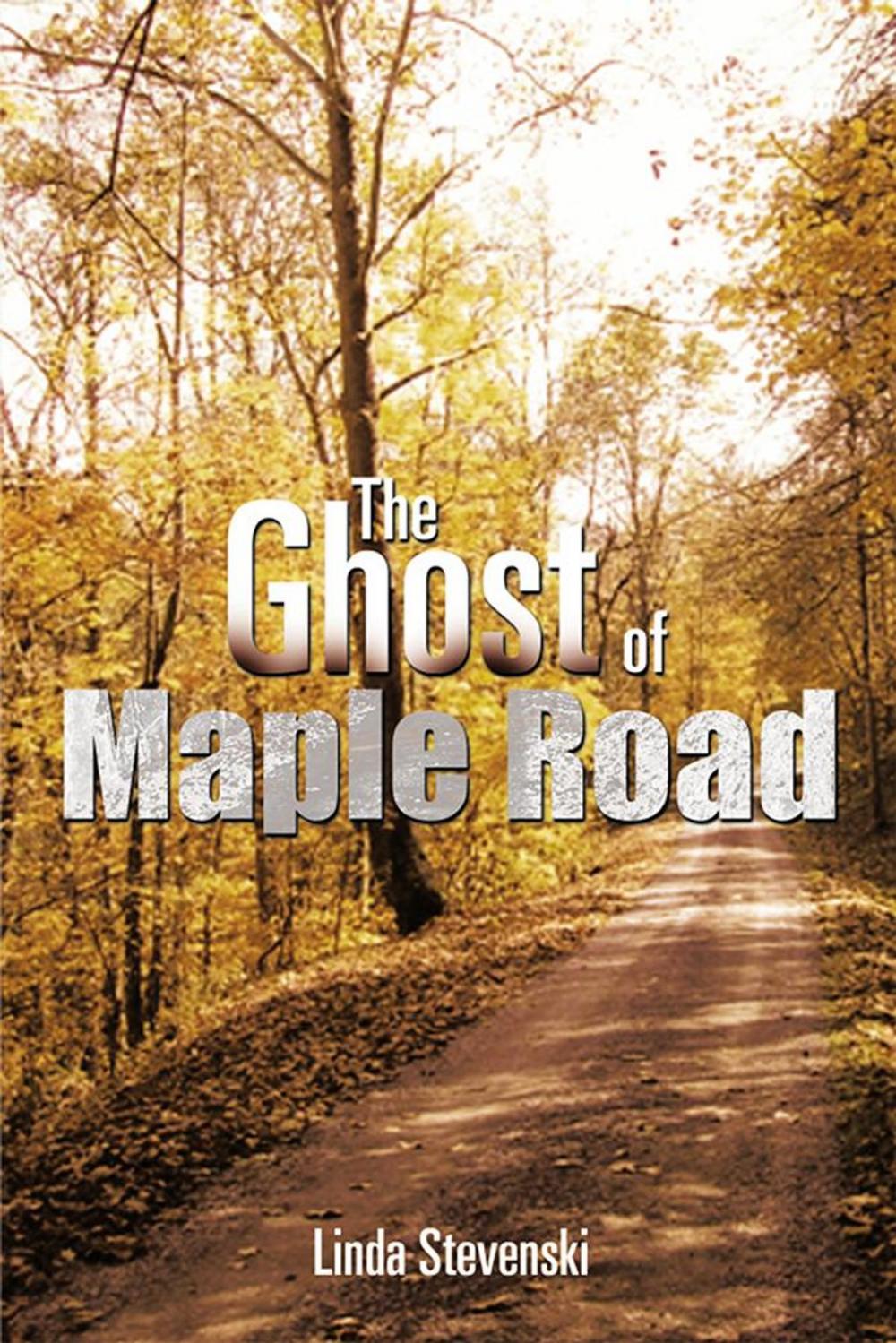 Big bigCover of The Ghost of Maple Road