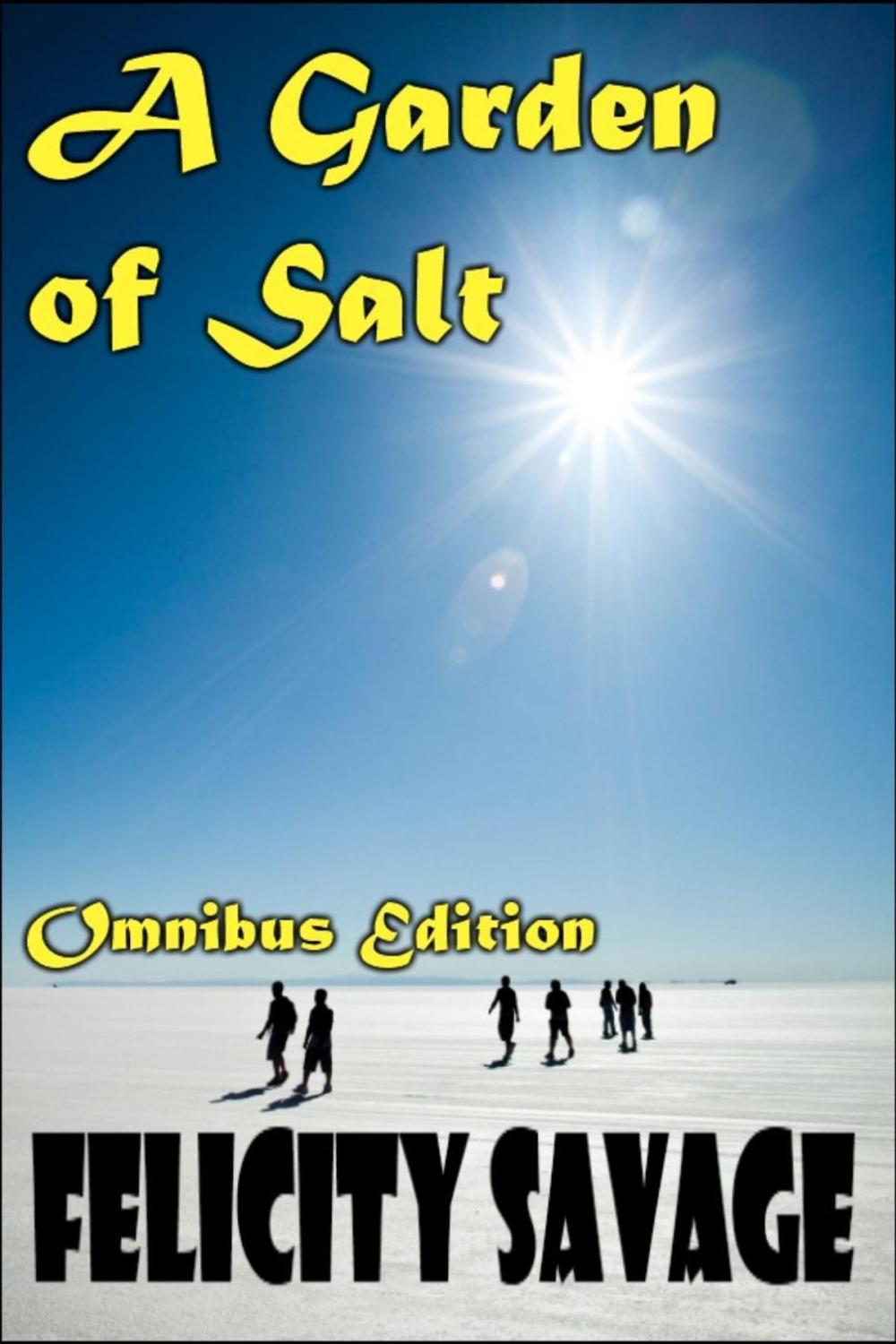 Big bigCover of A Garden of Salt Omnibus Edition