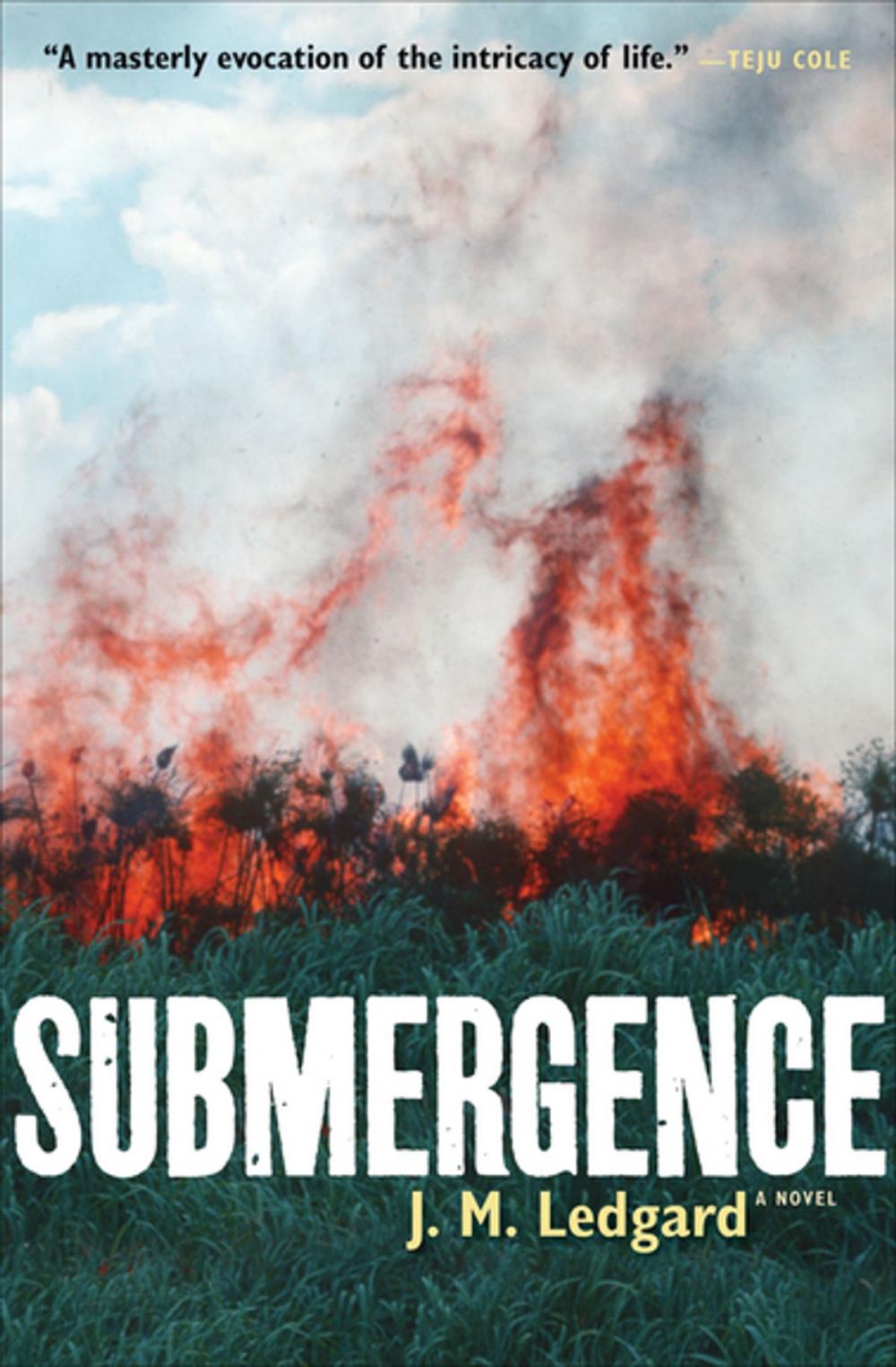 Big bigCover of Submergence