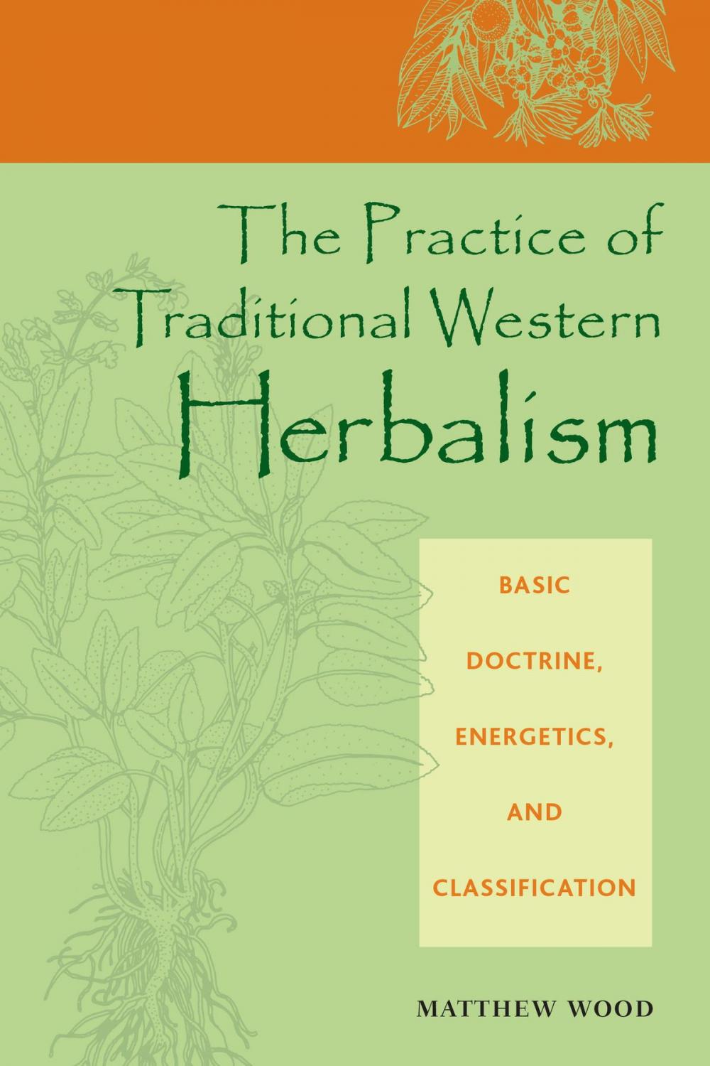 Big bigCover of The Practice of Traditional Western Herbalism