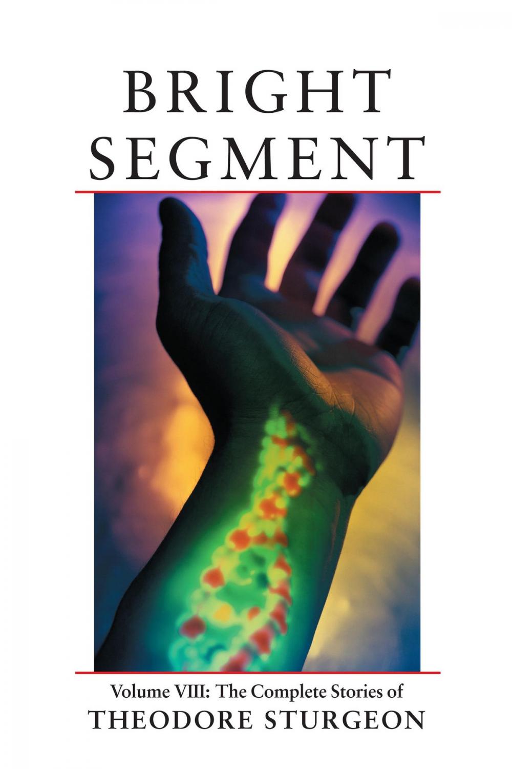 Big bigCover of Bright Segment