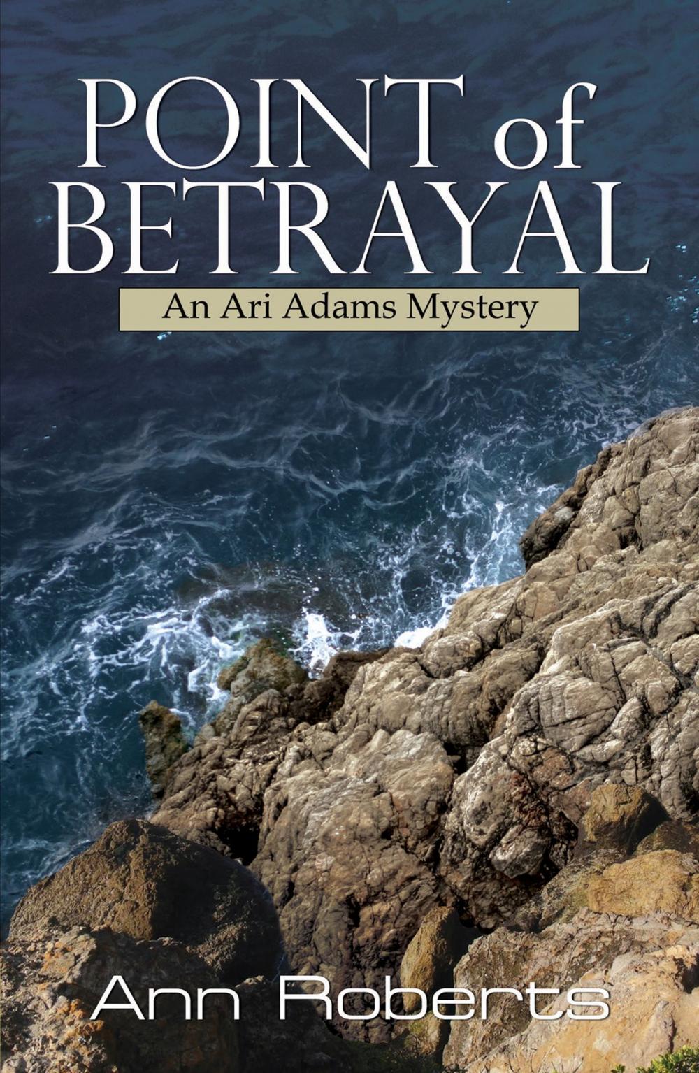 Big bigCover of Point of Betrayal