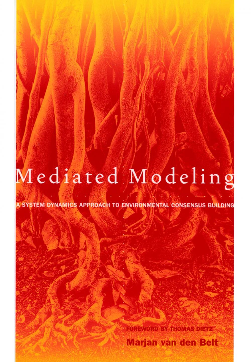 Big bigCover of Mediated Modeling