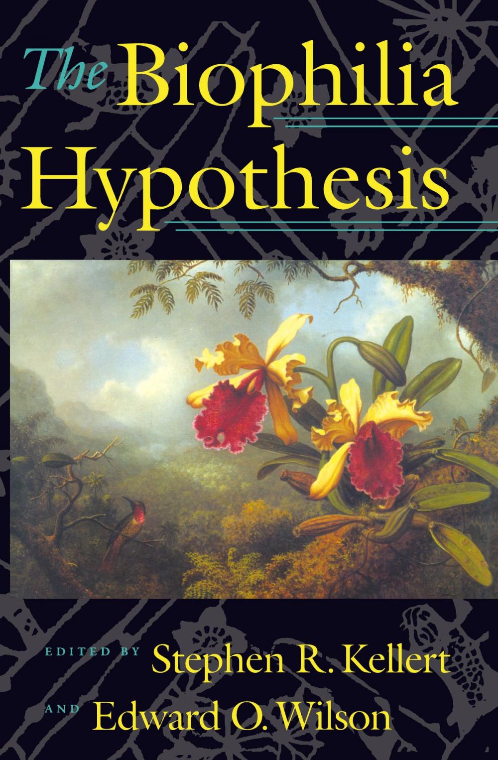 Big bigCover of The Biophilia Hypothesis